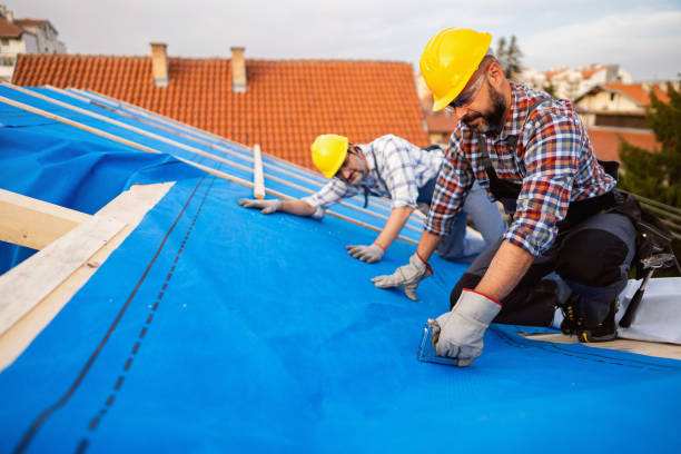 Best Chimney Flashing Repair  in Channahon, IL