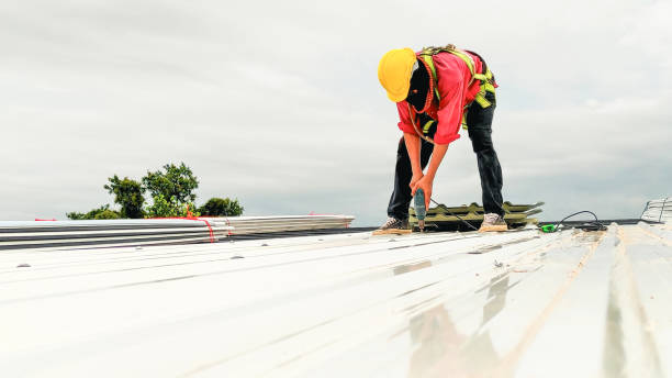 Best Emergency Roof Repair Services  in Channahon, IL